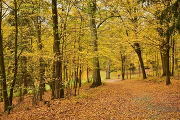 Naklejka premium Orlik Chateau is located near Pisek in Southern Bohemia, Czech Republic. The chateau park is shown in autumn colors.