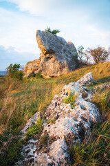 Boulder called Hölzlstein near Oggau in Burgenland