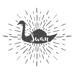 Fototapeta na wymiar Swan silhouette with sunbursts, vector illustration