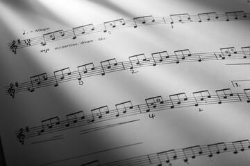 Fototapeta premium Sheet music.