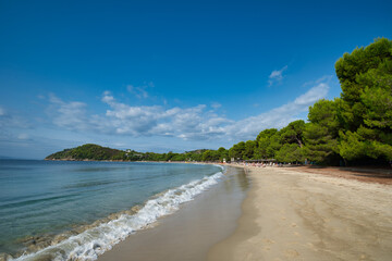 Obraz premium Koukounaries beach, Skiathos island, Greece .famous exotic beach all over the world