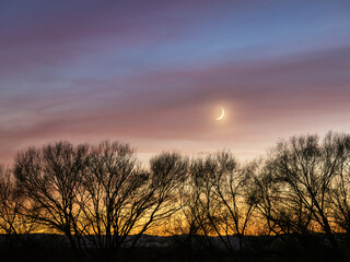 small moon with colourful sky an tree silhouette