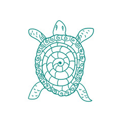 Hand drawn cartoon turtle, isolated on white, vector illustration	
