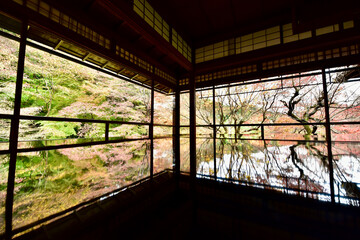 Fototapeta na wymiar 京都の瑠璃光院の紅葉と反射