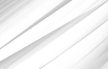 Fototapeta premium abstract white and silver are light pattern gray with the gradient is the with floor wall metal texture soft tech diagonal background black dark clean modern.