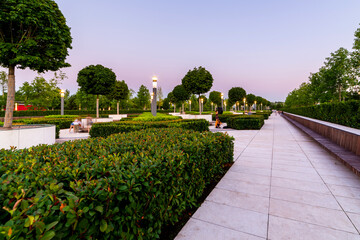 Maple alley in French garden in public landscape city park Krasnodar or Galitsky park . Wooden circular brown benches around maple trees