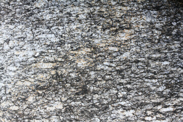 Gneiss metamorphic rock  surface. Gneissic texture