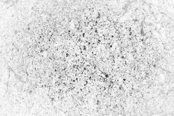 Granite boldcer surface. Intrusive igneous rock.