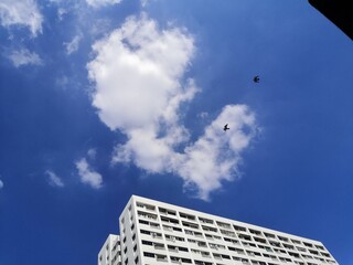 Fototapeta na wymiar building in the sky
