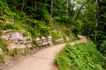 Curvy dirt road down a mountain side or slope