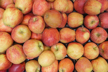 Fresh bright red apples on a counter in a market. Farm products.