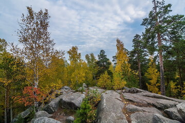 Obraz premium A walk in the autumn forest