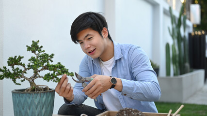A happy young man in casual clothes is trimming bonsai plant with pruning shears at home.