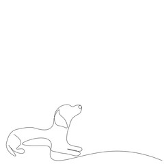 Dog on white background. Vector illustration