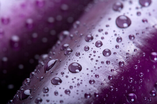 A freshly washed aubergine (full frame)