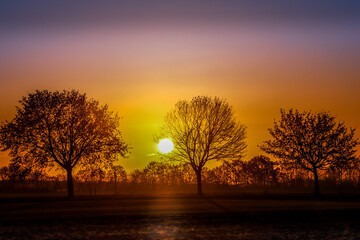 The winter sun rising over a grove of treese