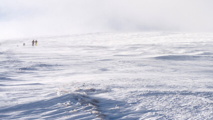 Skiers walking at the horizon along the snow-covered mountainside during a blizzard.