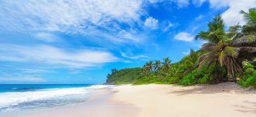 beautiful paradise beach,white sand,turquoise water,palms, seychelles