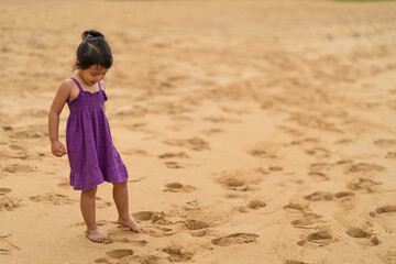 Cute little girl playing on the beach.