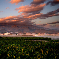 Landscape sunset beautiful view of tree bananas plantation and mountains in background with colorful amazig clouds in the blue sky