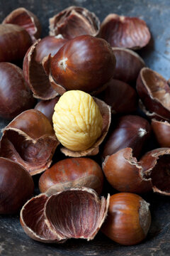 Roasted chestnuts