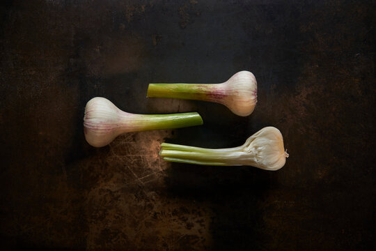 Three fresh garlic bulbs on a metal background