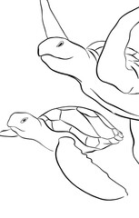 Sea turtle. Artistic, colored drawing of a sea turtle on a white background. 