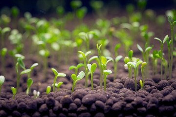 Seedlings of water plants