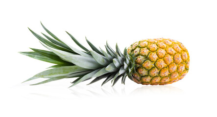 Ripe pineapple on white background