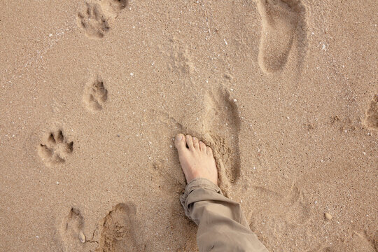 POV shot: the foot of a man, walking barefoot on a sandy beach, wearing pants (autumn or winter).
