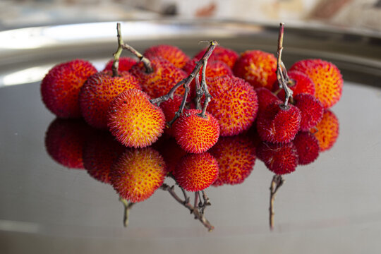 Il corbezzolo o ciliegia marina