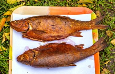 Smoked fish bream on a tray closeup on a background of green grass in summer