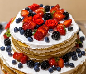 Biscuit cream cake closeup on white background