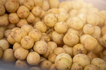 Longkong Thai fruit is on the market.