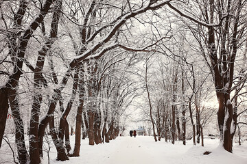 winter forest landscape covered with snow, december christmas nature white background