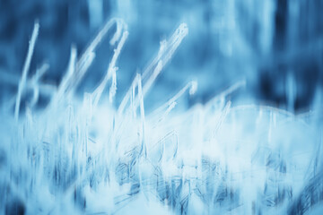 abstract forest blurred winter vertical lines / winter forest background, abstract landscape