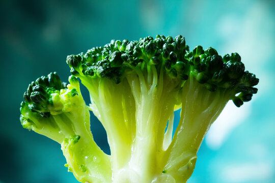 Blanched broccoli florets