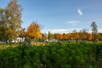 Concordia Park in Chemnitz, Germany during a sunny autumn morning.
