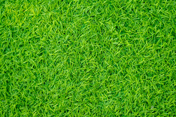Green artificial grass natural