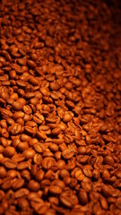 Coffee beans roaster