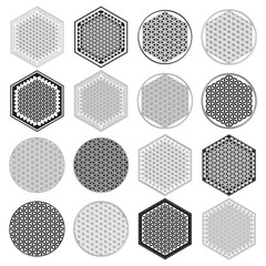 vector icon with ancient symbol flower of life for your project