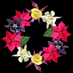 Beautiful floral circle of Aquilegia and poinsettias. Isolated