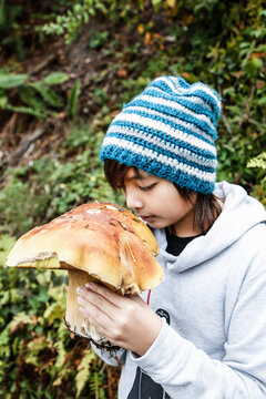 Boletus edulis