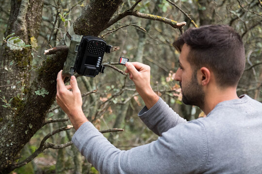 A forester installs a photographic camera trap with infrared radiation and a motion detector in a tree, they photograph animals in the Mediterranean forest.