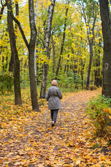 Scandinavian walking in autumn forest