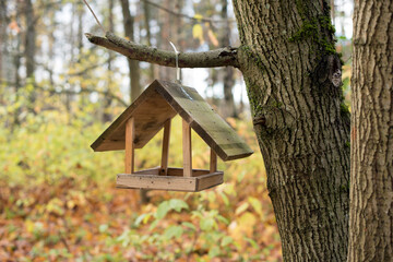 wooden bird house on the tree 