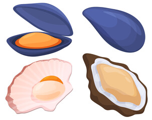 Seafood, mussels, oysters, scallops. Isolated vector illustration