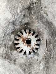 circular saw blade