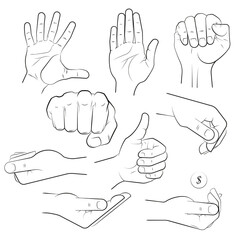 Fototapeta premium human hand with various gestures