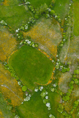 Campiña, Springtime, Villasante de Montija, Merindad de Montija, Las Merindades, Burgos, Castilla y Leon, Spain, Europe